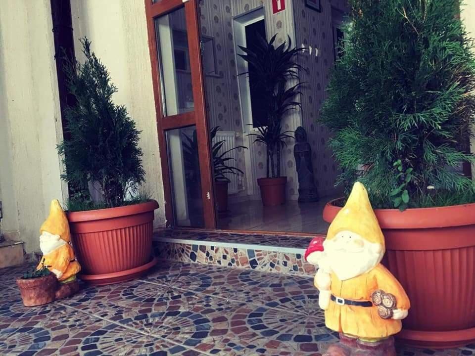 Pensiunea Pelican Tulcea Bagian luar foto