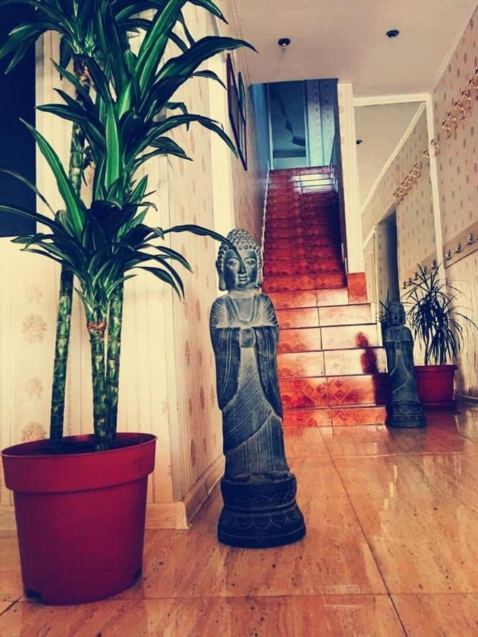 Pensiunea Pelican Tulcea Bagian luar foto